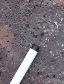 Igneous rock, with vesicles, no crystals seen