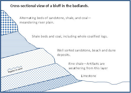 cross-section of layers of rock. From bottom to top: limestone, shale with artifacts, beach sandstone, shale and coal, , river deposits