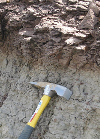 Shale in Hell Creek Fm North Dakota